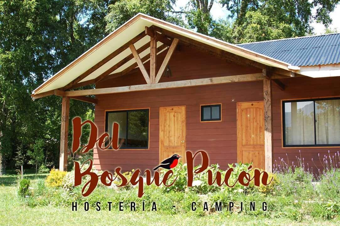 Hosteria Y Camping Del Bosque Пукон Экстерьер фото